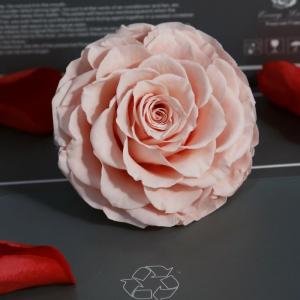 Buy cheap New Technique Preserved Rose Handmade Real Forever Giant Rose from wholesalers