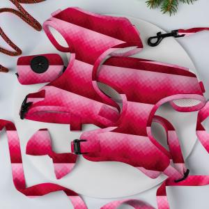 Buy cheap Neoprene Breathable Dog Walking Kit Flora Puppy Leashes Harnesses from wholesalers