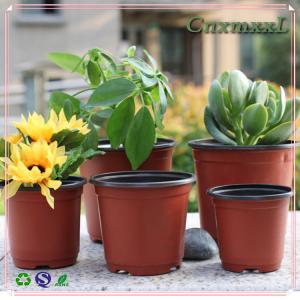 Greenhouse Using Bicolored Small Plastic Flower Nursery Pots For Seeds