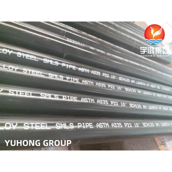 Alloy Steel Seamless Pipe ASTM A335 P5 P9 P11 P12 P21 P22 P91 For Petrochemical