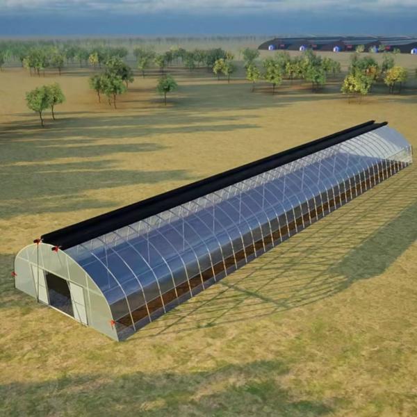 Buy cheap Multi-Span Arch Tunnel Greenhouse Hydroponic Growing System from wholesalers