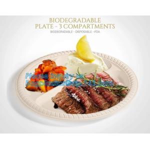 Eco Friendly Biodegradable Sugarcane Bagasse Plates Disposable,Sugarcane Bagasse