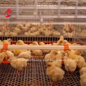 Buy cheap Hightop Chick Brooder Chicken Cage Of Poultry Chicks Ada product