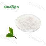 Buy cheap epigallocatechin Gallate Green Tea Extract/EGCG Powder 94%/95%/98%/Decaffeinated from wholesalers
