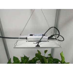 Changeable Color 5000K AC85V Quantum Grow Lights