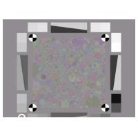 China Dead Leaves Texture Test Target YE0276 for Texture Loss Analysis due to Noise Reduction for sale