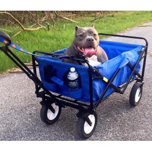 Buy cheap Qingdao Port Heavy-Duty Iron Frame Fabric Camping Trolley Folding Wagon from wholesalers