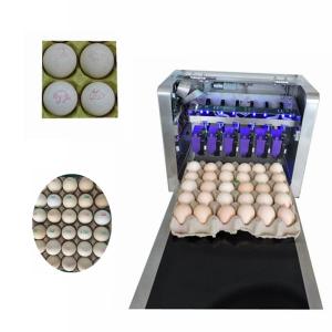 Buy cheap High Resolution Food Inkjet Printer , Eggs Expiry Date Printing Machine  from wholesalers
