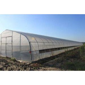 High Output Ratio Single Tunnel Greenhouse With Loading Ventilation Heating