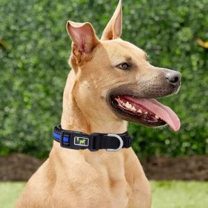 Durable Dog Collar Leash Set Personalized Dog Collar With Reflective Strip