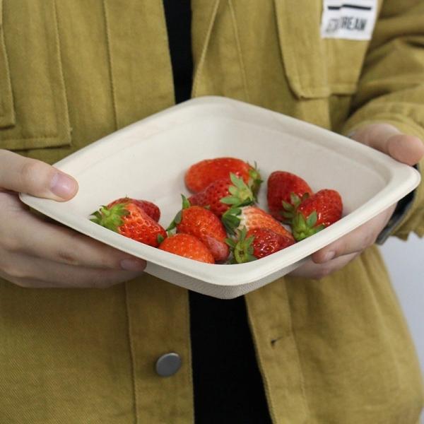 Eco Biodegradable Sugarcane Disposable Bowls 16oz Square Bowl With Lid