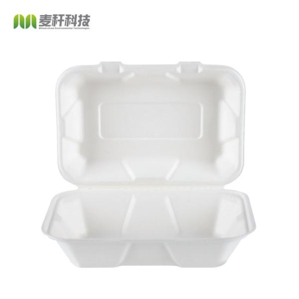 FREE PLASTIC 2021 Eco friendly tableware Pulp tableware Biodegradable food