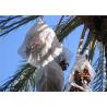Buy cheap White Color Jujube Collecting Net Bags With Hook Loop For Africa Anti-UV HDPE Mesh Bags from wholesalers