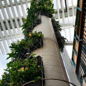 Flexible Stainless Steel Wire Mesh , Vertical Garden Wire Mesh Mesh For Climbing