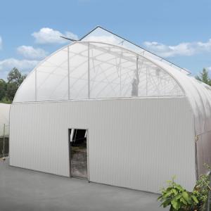 China Hydroponics System Automatic Blackout Greenhouse Medical Mushroom Growing on sale