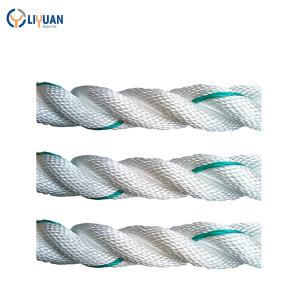 Buy cheap 3/4 Strand 20mm Twisted Danline PP Rope with CCS.ABS.LRS.BV.GL.DNV.NK Certification from wholesalers