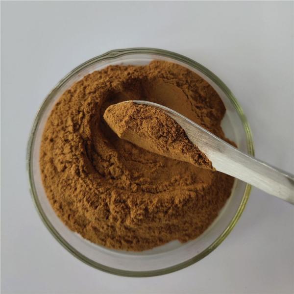 Quality Hot Sale energy supplement extract Fuzi with best price for sale