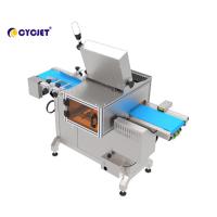 China Vision Inspection System Visual Inspection System For Coding Equipment Visual Detection for Laser Marking Machine for sale