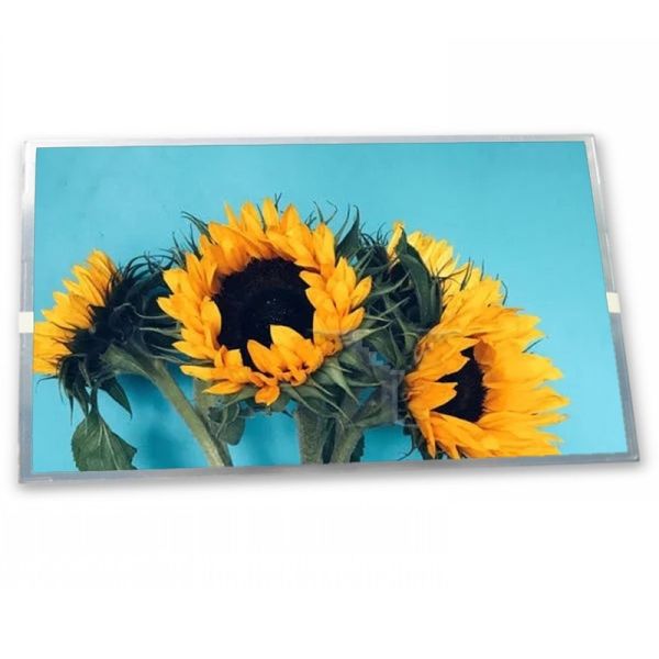 Buy cheap LTM10C039 Quality Suppliers 10.4 Inch Industrial Control Lcd Screen 800*600 Good Price Lcd Display Panel from wholesalers