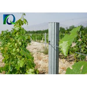 Q235 Steel Galvanized Orchard Trellis Systems For Grape / Fruits Customized