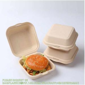 Sugarcane Pulp Clamshell Bagasse Takeout Bento Lunch Box Food Container For