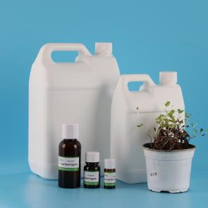 High Purity Spearmint Toothpaste And Mouthwash Perfume Essential Fragrance Oil