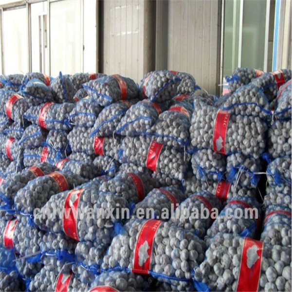 Buy cheap GARLIC WITH MESHBAG PACKAGE from wholesalers
