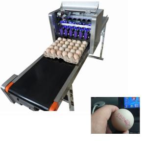 Buy cheap Industrial Software Operation Egg Printing Machine , HD Inkjet Printer For Eggs from wholesalers