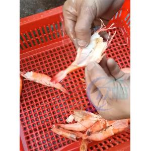 Buy cheap High Precision Aquatic Shrimp Processing Machine Sushi Shrimp Cutting Machine from wholesalers