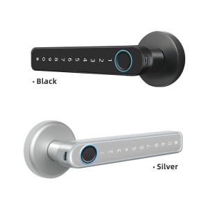 TTlock Smart Handle Door Lock