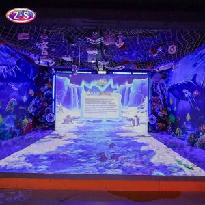 Beach Interactive Games Immersive Projection For Science Museum Exhibits