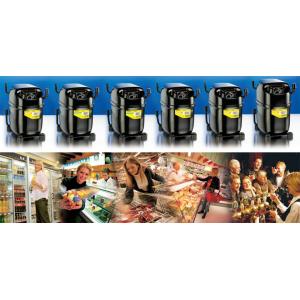 Secop Protable Refeezer Compressor For LBP,MBP,HBP Household And Light