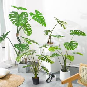 Buy cheap Handmade Plastic Artificial Monstera Plant Wind Resistance from wholesalers