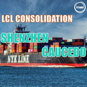 Quality Global  LCL freight shipping Service From Shenzhen to Caucedo Each Tue for sale