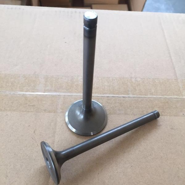 Automobile Parts 6DS Intake And Exhaust Valve For Mitsubishi 20801-00100 30804