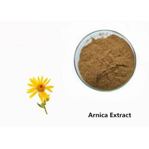 Buy cheap Arnica Plant Extract Powder product
