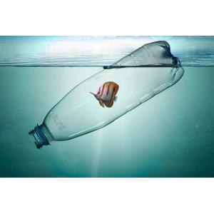 Buy cheap ocean bound plastic bottles recycled 75D pongee Recycled polyester fabric from wholesalers