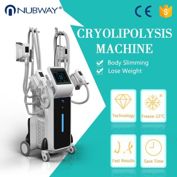 Quality Cryolipolysis machine 4 Handles Newest  Approval Cryolipolysis Fat Freezing Machine for sale