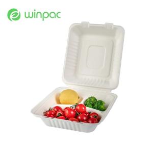 8in White Sugarcane Bagasse Clamshell 3 Compartments Sugarcane Bagasse Food