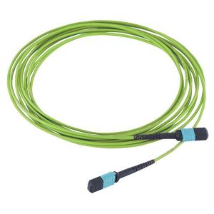 Buy cheap OM4 OM5 MTP MPO Trunk Cable With LSZH PVC Jacket from wholesalers