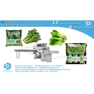 Buy cheap Greens cabbage leafy pouch packaging horizontal servo packing machine from wholesalers