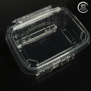 Buy cheap Eco Friendly 16 & 24 Oz Salad Containers with Attached Lids Disposable for Fresh Produce from wholesalers