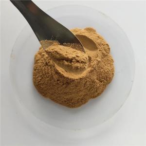 Buy cheap Medicine Grade broccoli extract with best price from wholesalers