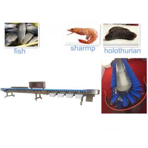 LCD Touch Screen Automatic Fruit Fish Weight Sorting Machine
