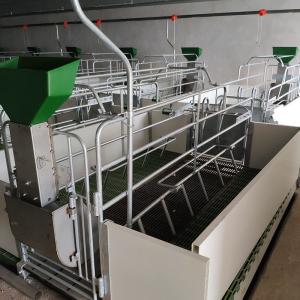 Buy cheap Automatic Raising Housing And Equipment For Swine Production CE SGS from wholesalers