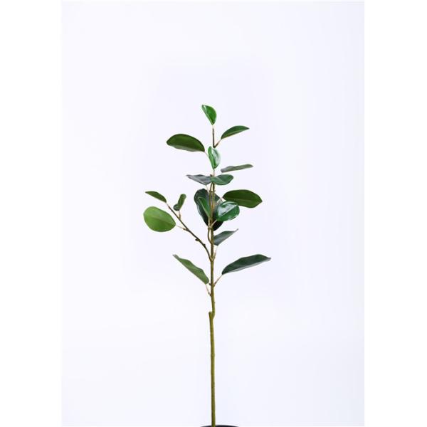 Ficus Microcarpa Artificial Tree Branches Minimal Care Hand Crafted Breathtaking