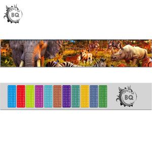 Buy cheap Gift Custom Lenticular Printing / 3d Lenticular Ruler Egypt Design Printing from wholesalers