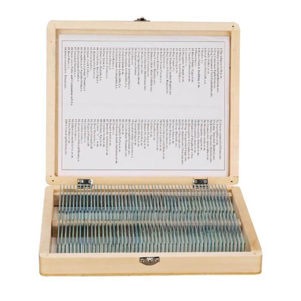 Buy cheap Students 100PCS Shockproof Prepared Slides For Biology from wholesalers