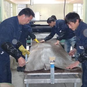 Grey Color 0.30mm Thickness engineered wood veneer For Interior Doors SBE-X039