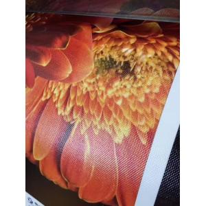 Buy cheap Length 30m  Inkjet Printable Canvas Printable Polyester Canvas Fabric 260gsm from wholesalers